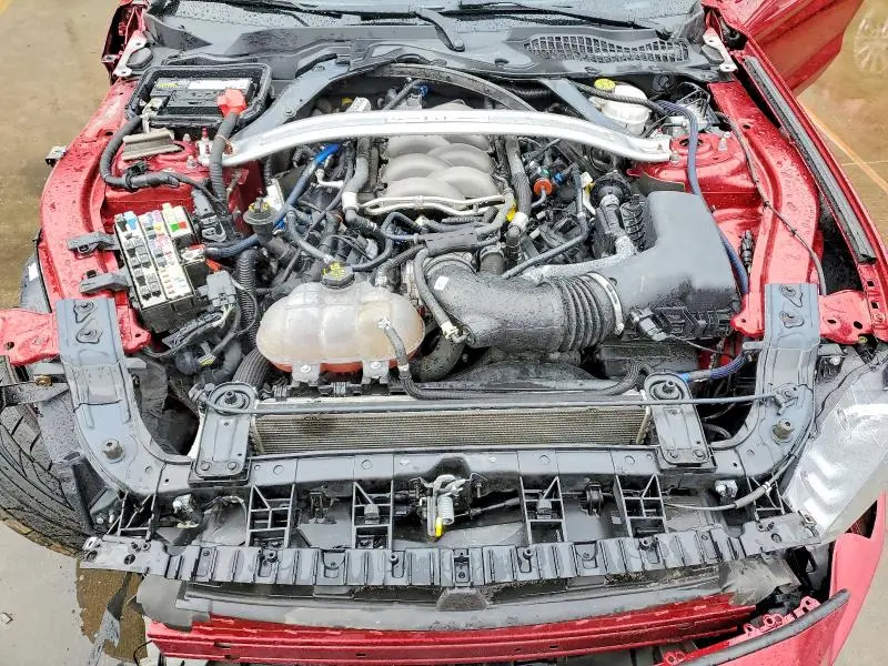2019 FORD MUSTANG GT  