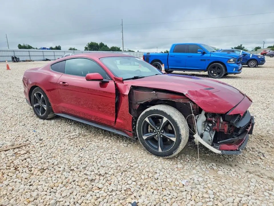 2019 FORD MUSTANG   