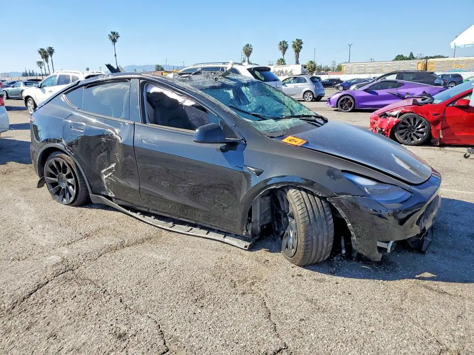 2024 TESLA MODEL Y   