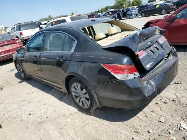 2011 HONDA ACCORD EXL
