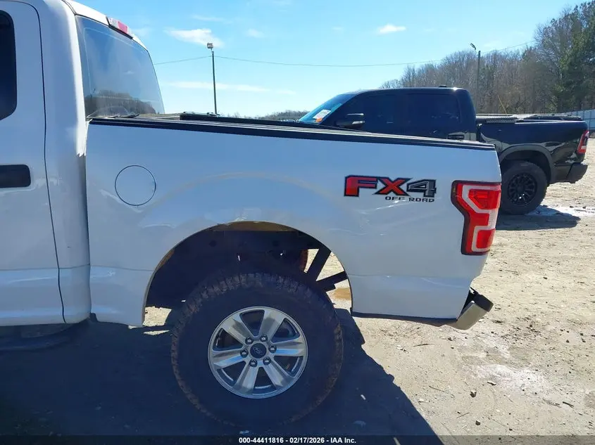 2019 FORD F-150 XL