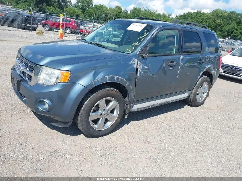 2010 FORD ESCAPE XLT