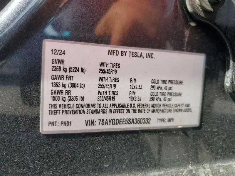 2025 TESLA MODEL Y   