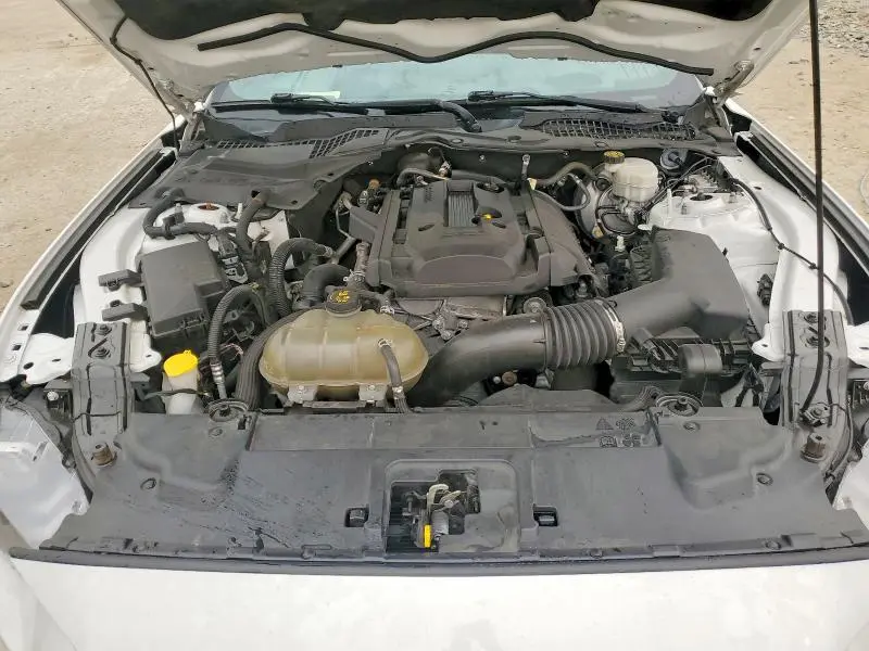 2019 FORD MUSTANG   