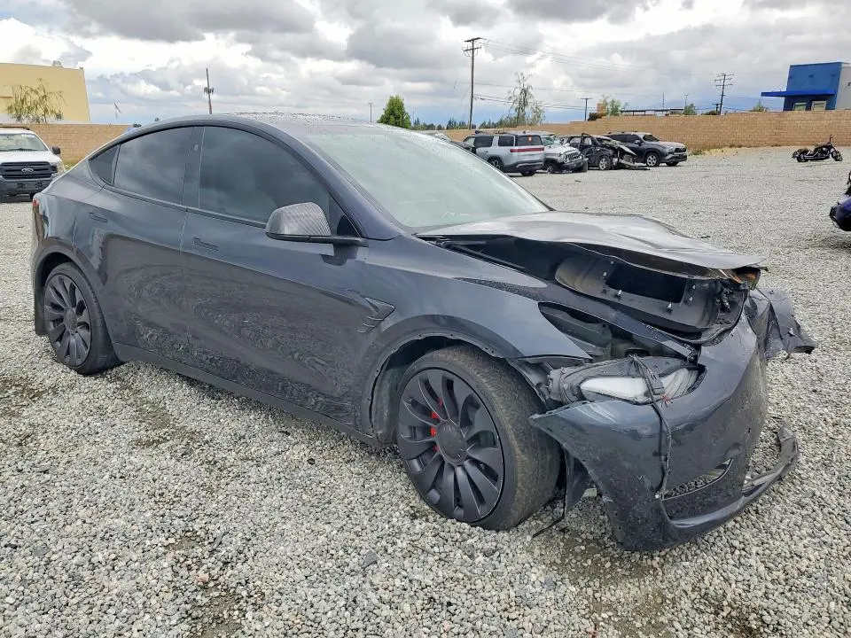 2024 TESLA MODEL Y   