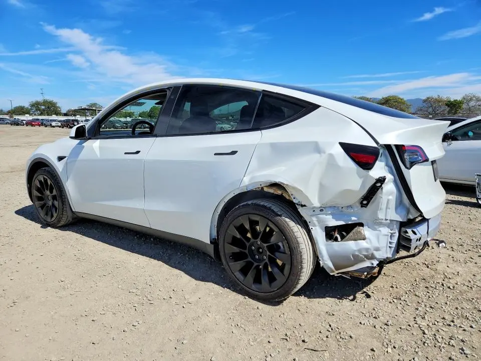 2021 TESLA MODEL Y   