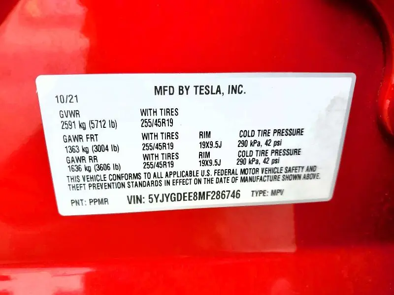 2021 TESLA MODEL Y   