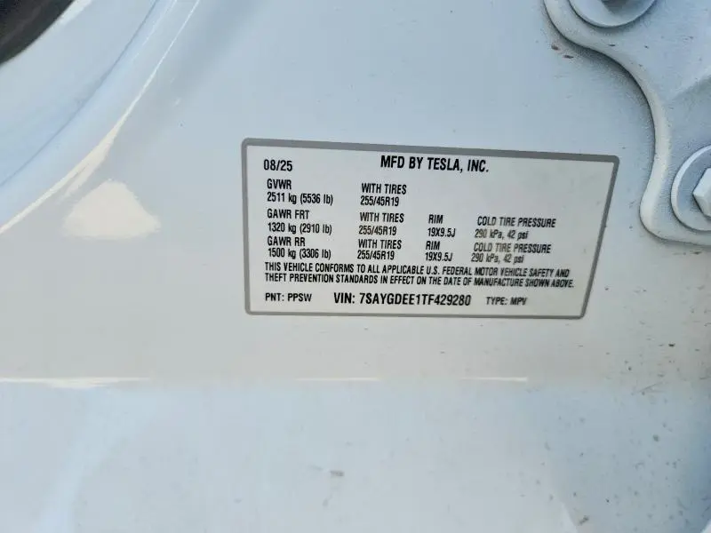 2026 TESLA MODEL Y   