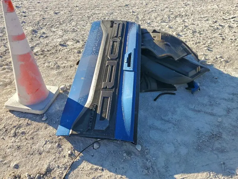 2019 FORD F150 RAPTOR  