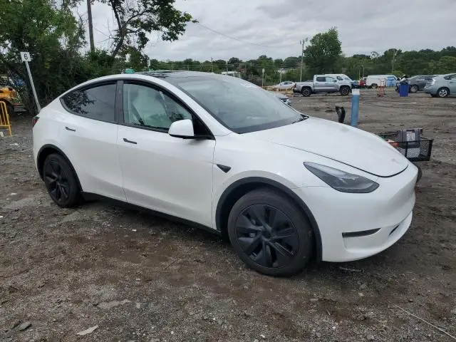 2025 TESLA MODEL Y   