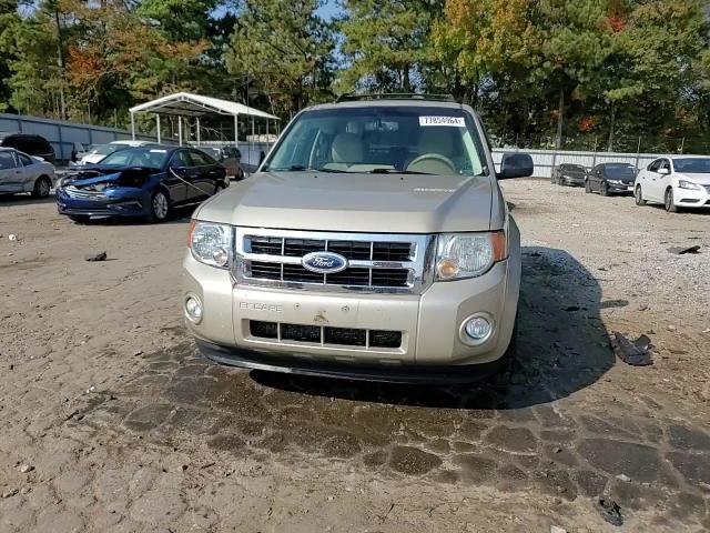 2012 FORD ESCAPE XLT