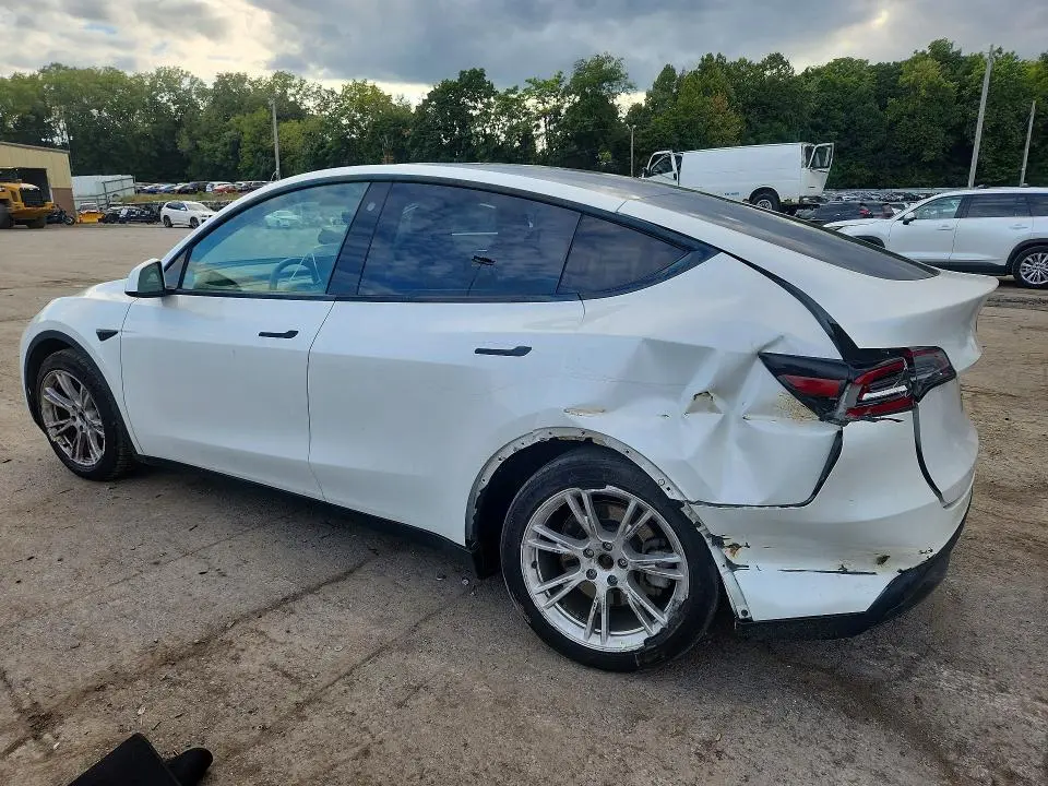 2021 TESLA MODEL Y   