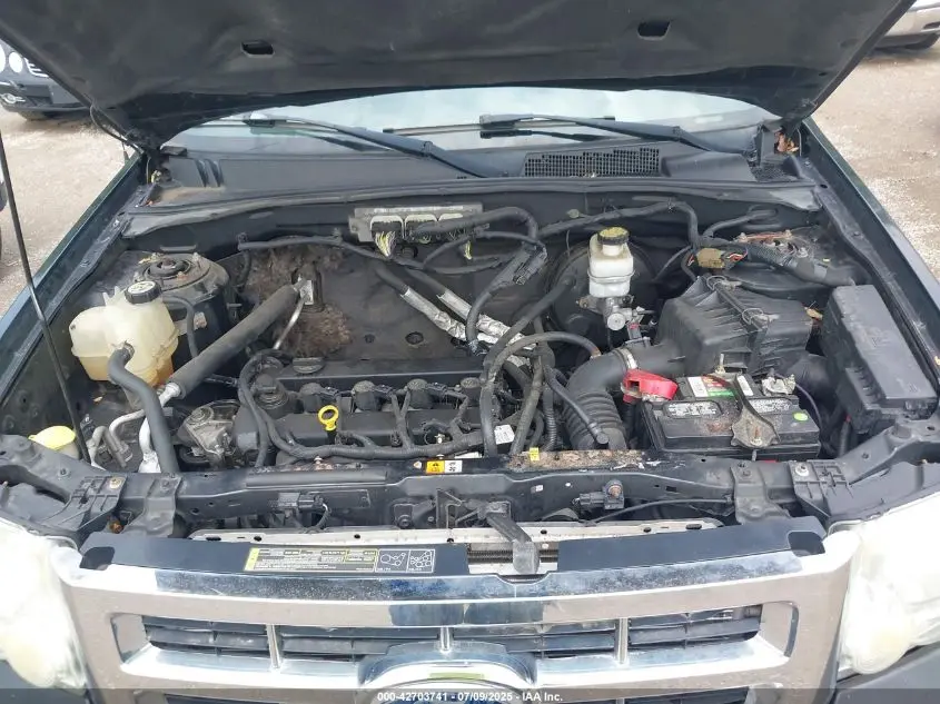 2010 FORD ESCAPE LIMITED