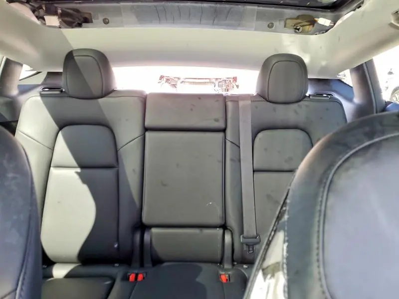2025 TESLA MODEL Y   