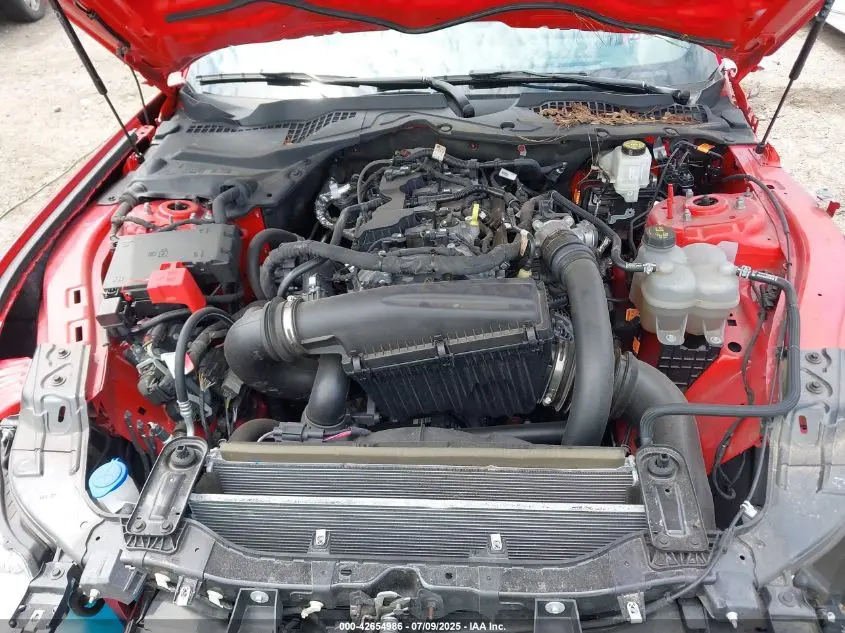 2024 FORD MUSTANG ECOBOOST FASTBACK