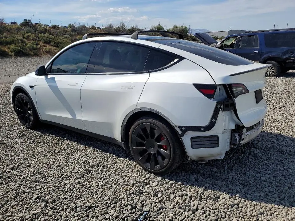 2020 TESLA MODEL Y   
