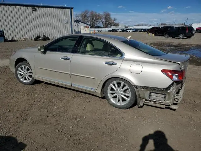 2010 LEXUS ES 350