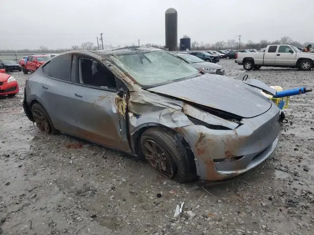 2025 TESLA MODEL Y   