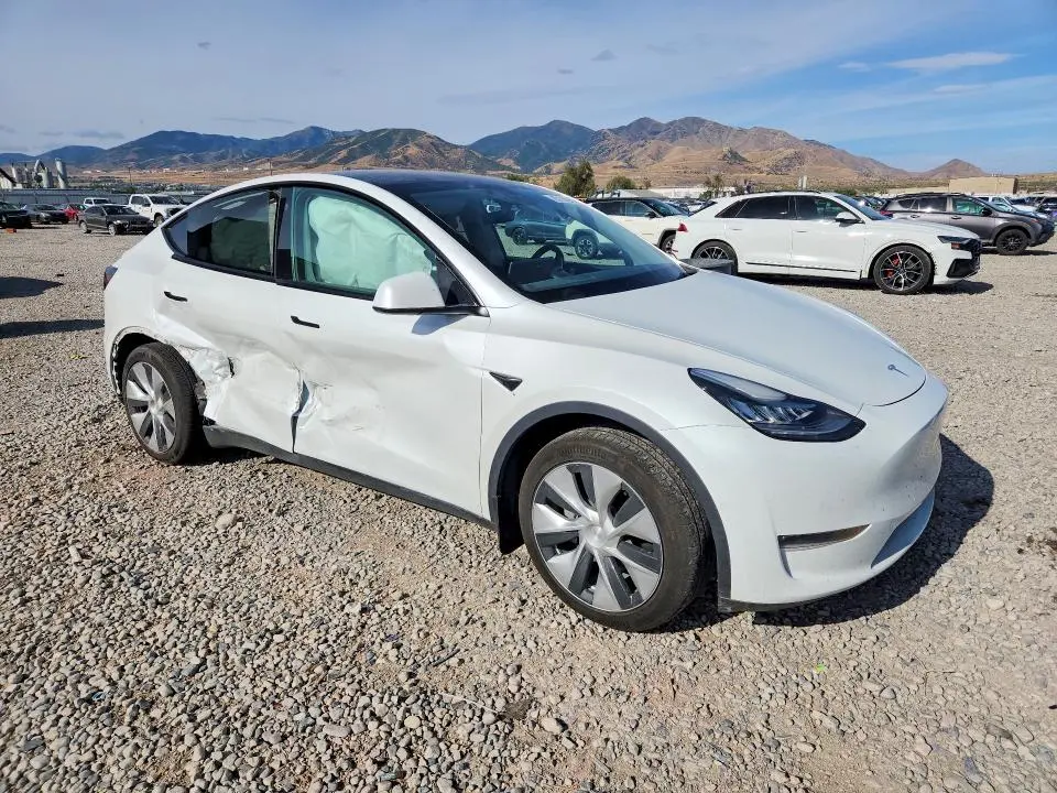 2022 TESLA MODEL Y   