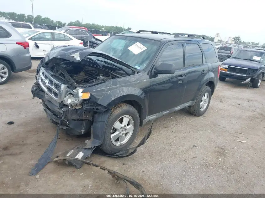 2010 FORD ESCAPE XLT