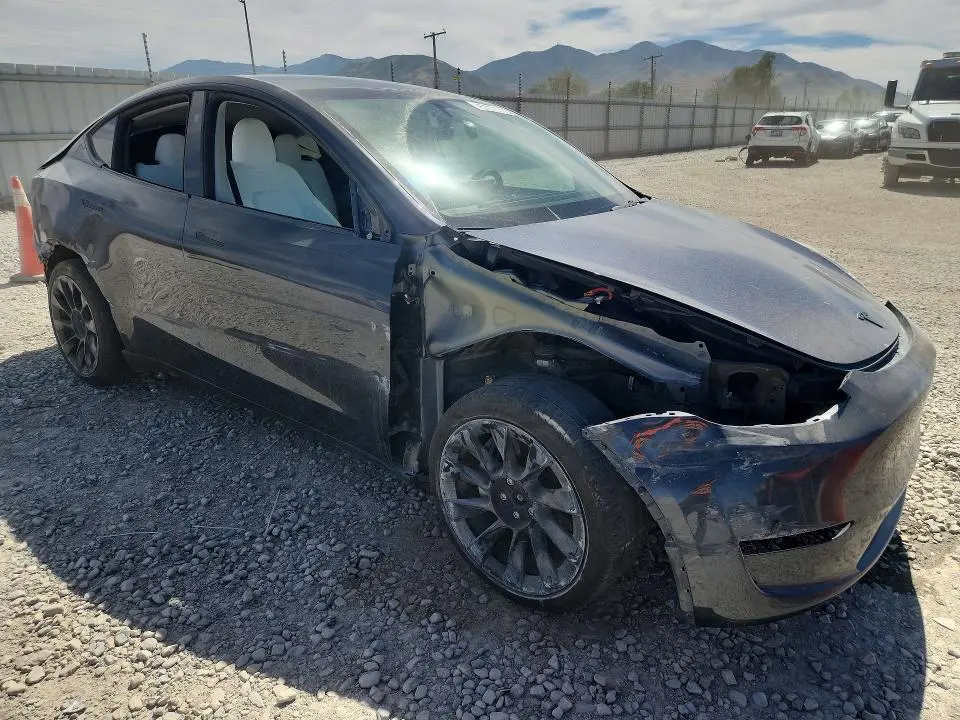 2024 TESLA MODEL Y   