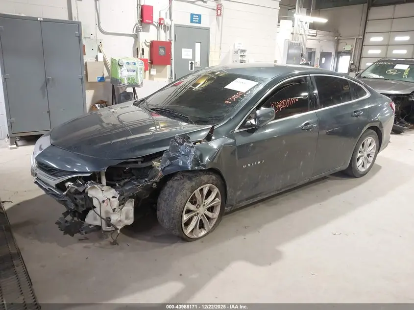 2019 CHEVROLET MALIBU LT