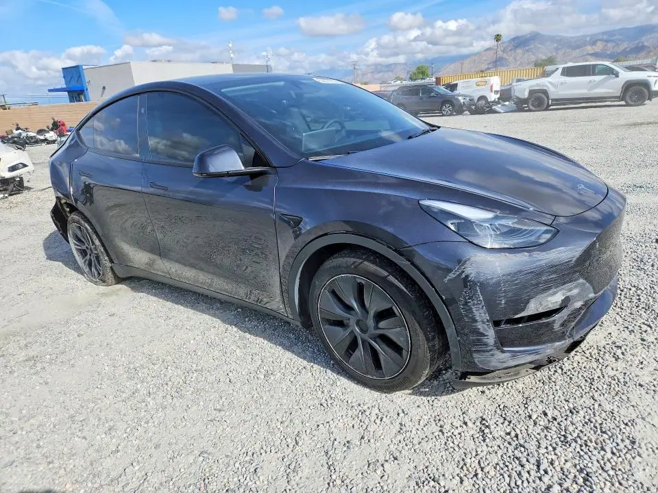 2024 TESLA MODEL Y   
