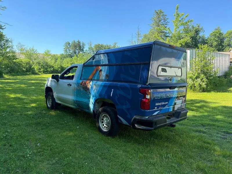 2020 CHEVROLET SILVERADO K1500  