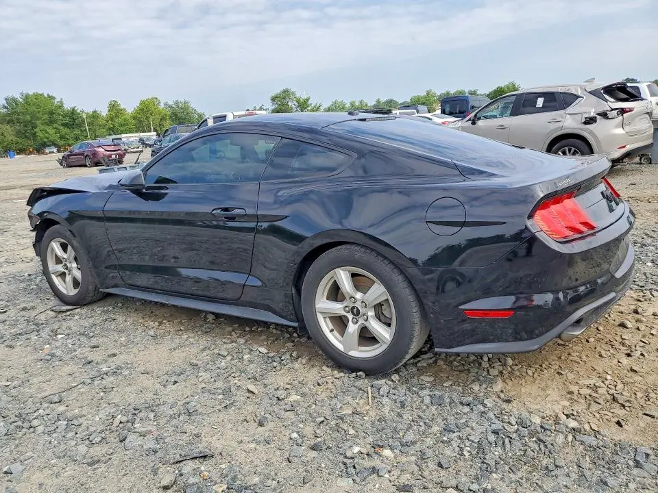 2019 FORD MUSTANG   