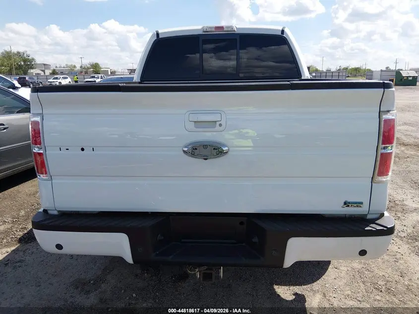 2010 FORD F-150 FX4/HARLEY-DAVIDSON/KING RANCH/LARIAT/PLATINUM/XL/XLT