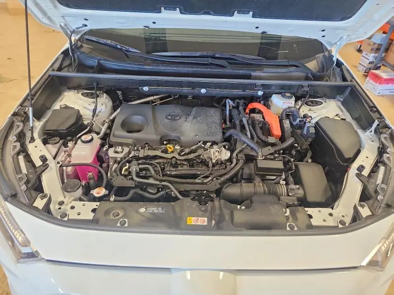 2025 TOYOTA RAV4 LE  