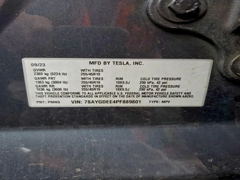2023 TESLA MODEL Y   