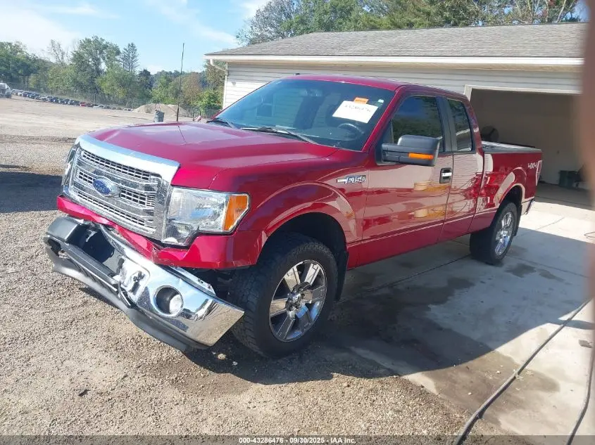 2013 FORD F-150 XLT