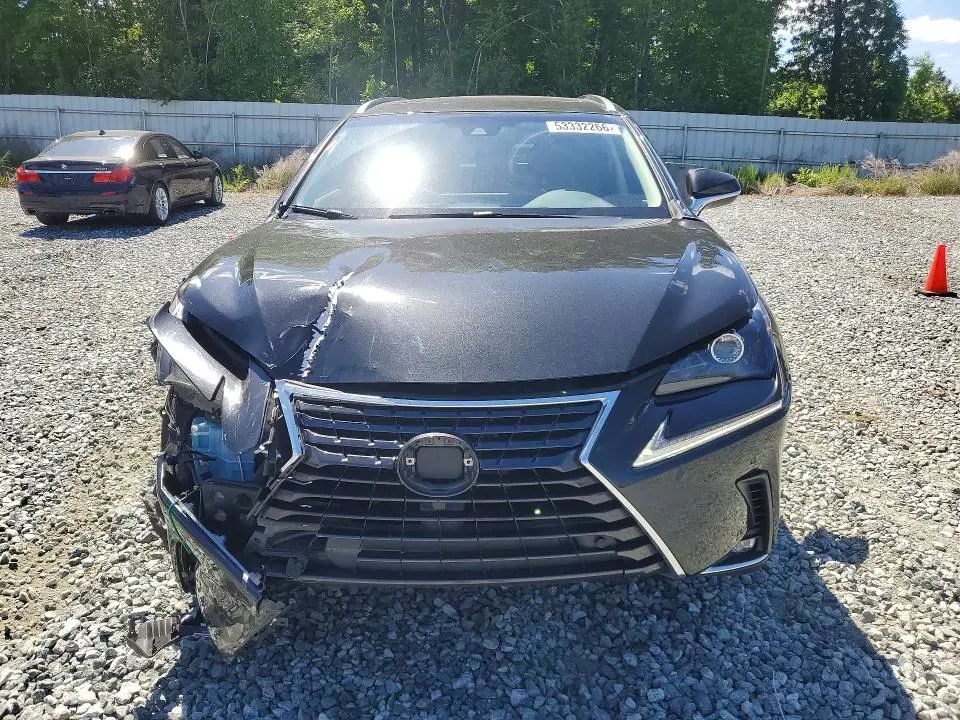 2019 LEXUS NX 300H  