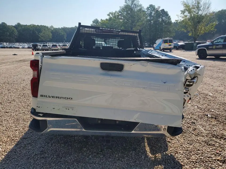 2019 CHEVROLET SILVERADO C1500  