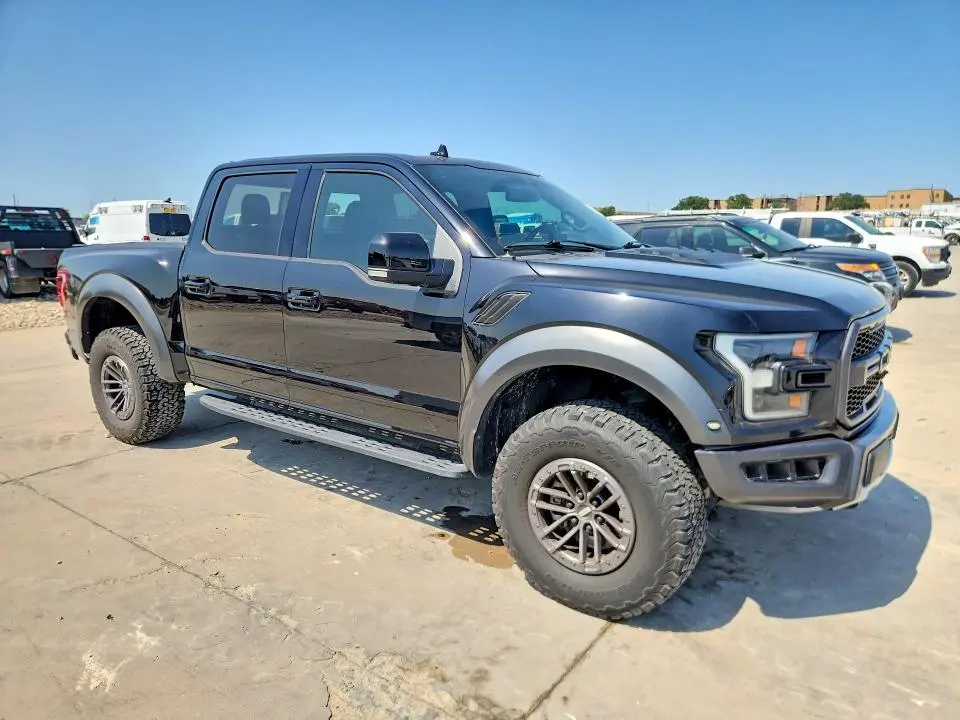 2019 FORD F150 RAPTOR  