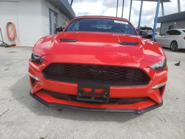 2019 FORD MUSTANG