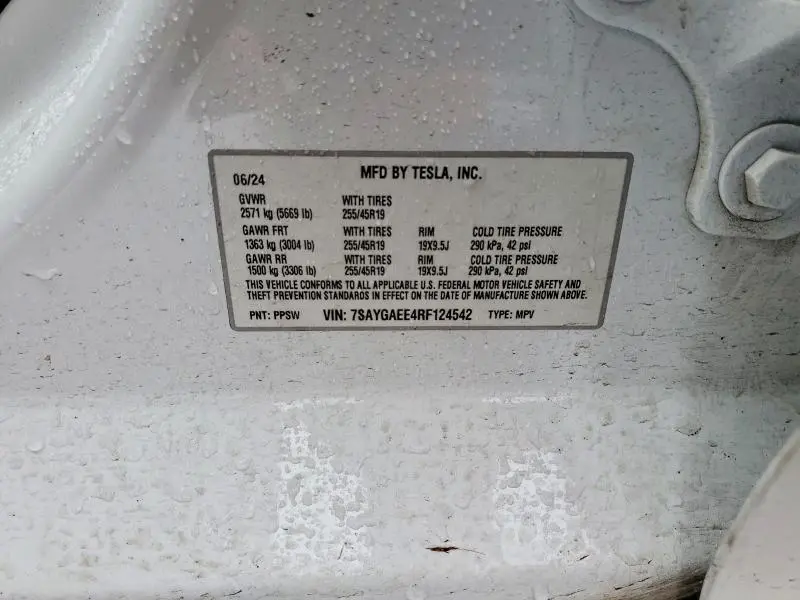 2024 TESLA MODEL Y   