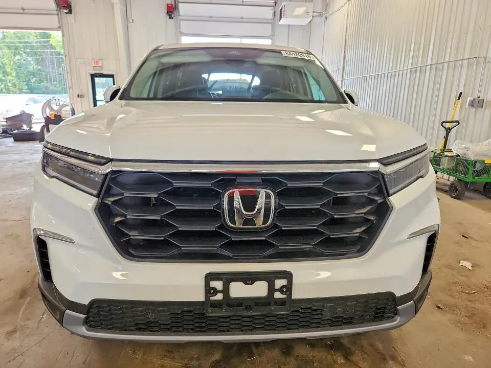 2025 HONDA PILOT EXL  