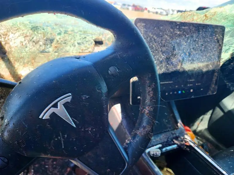 2024 TESLA MODEL Y   