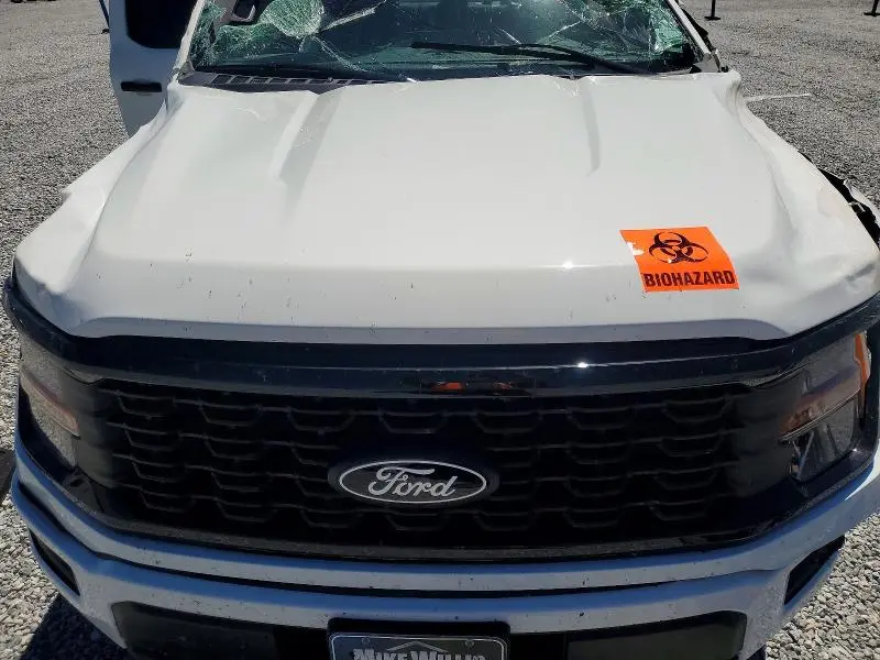 2025 FORD F150 STX  