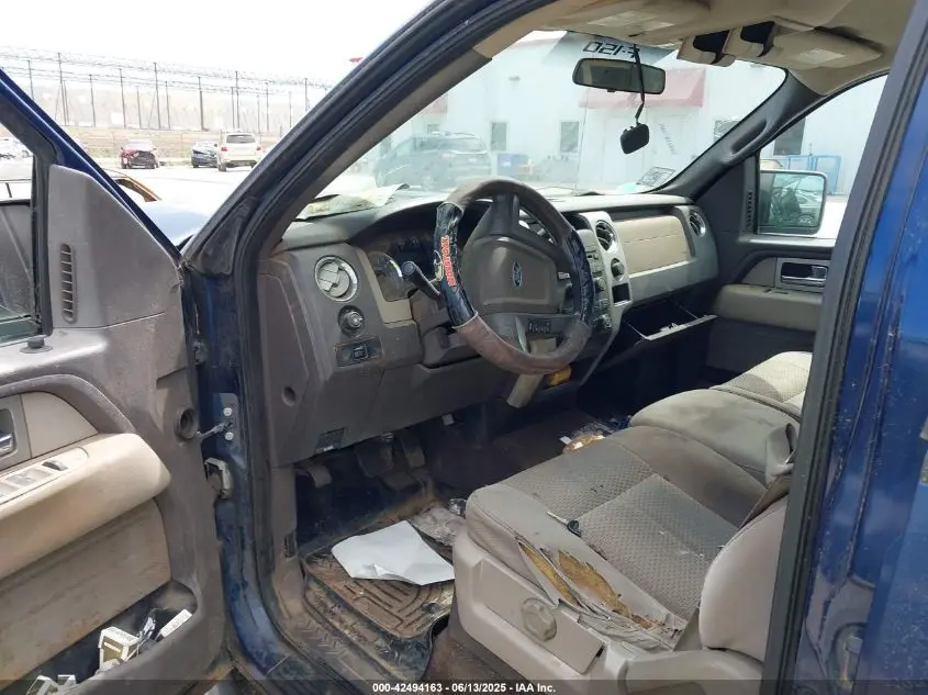 2010 FORD F-150 XL/XLT