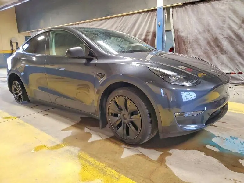 2025 TESLA MODEL Y   
