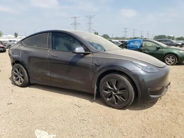 2025 TESLA MODEL Y