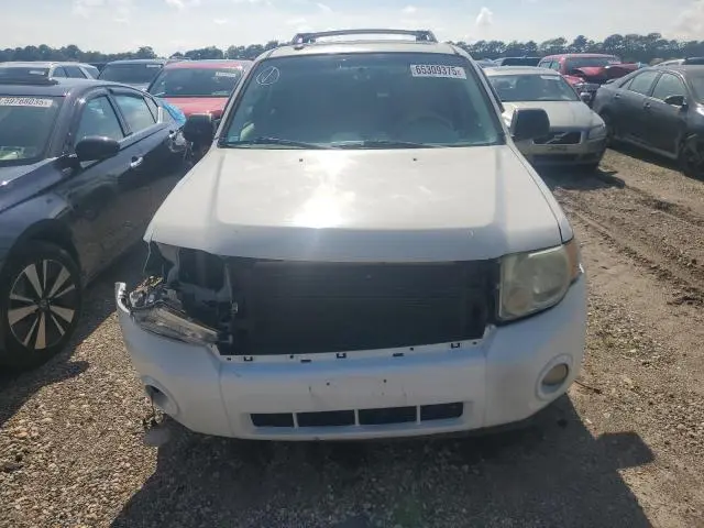 2010 FORD ESCAPE XLT  