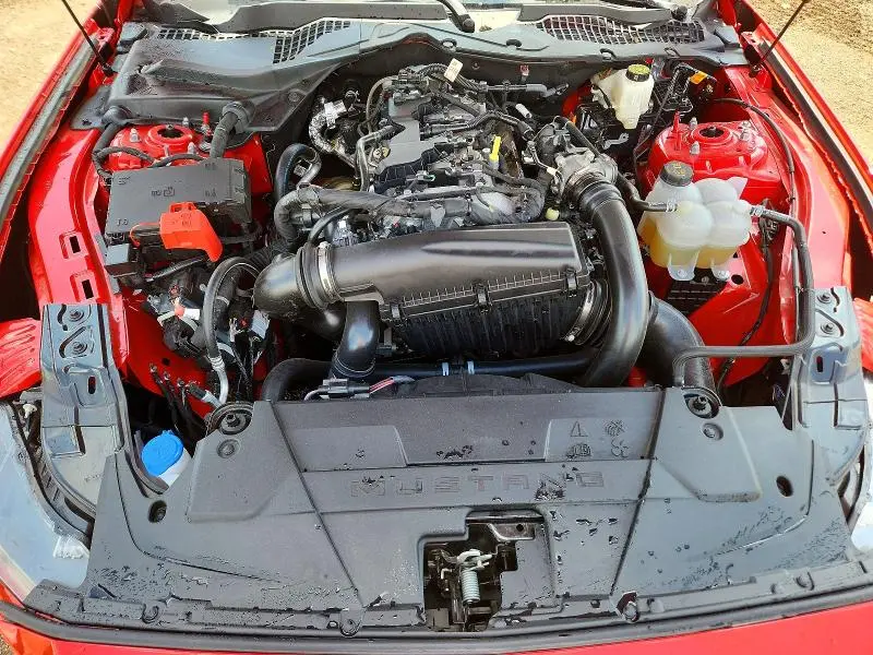 2026 FORD MUSTANG   