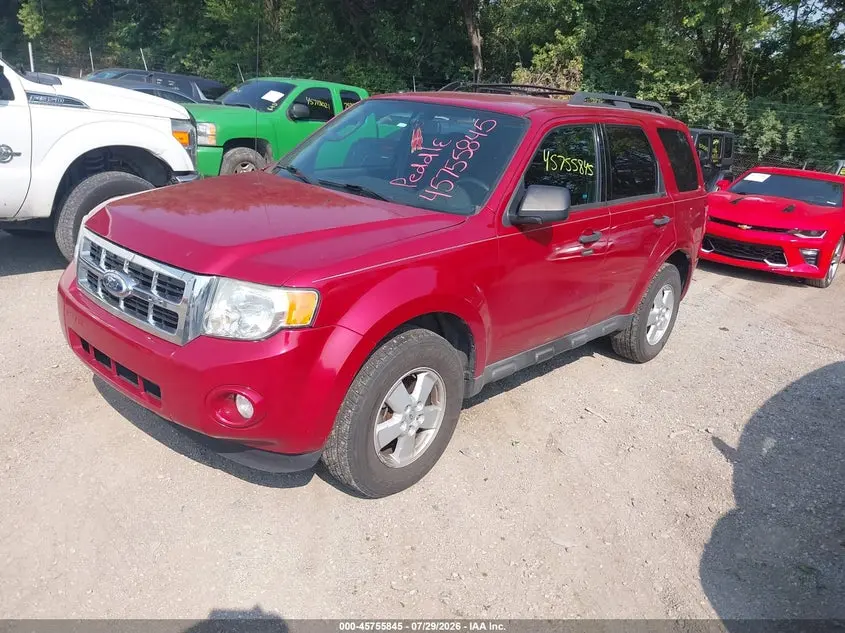 2010 FORD ESCAPE XLT