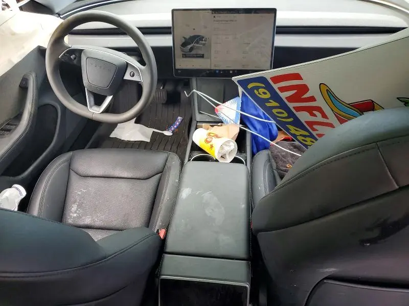2025 TESLA MODEL 3   