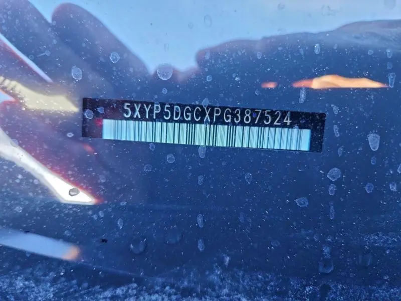 2023 KIA TELLURIDE SX  