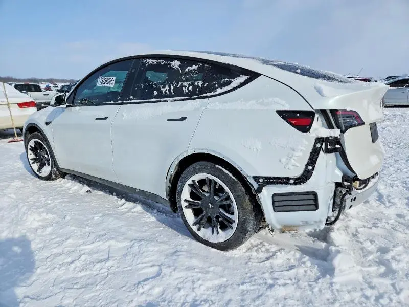 2024 TESLA MODEL Y   